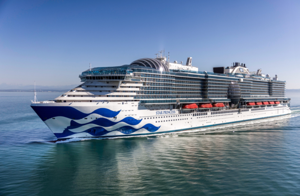 Carnival CEO to Lead Cruise Group, Says Emissions Cuts Are a Priority