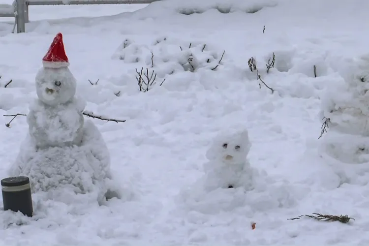 Representational Image