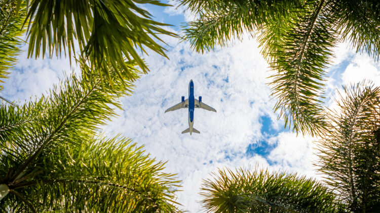 Commercial airplane flying overhead framed by palm tree leaves against a partly cloudy sky.
