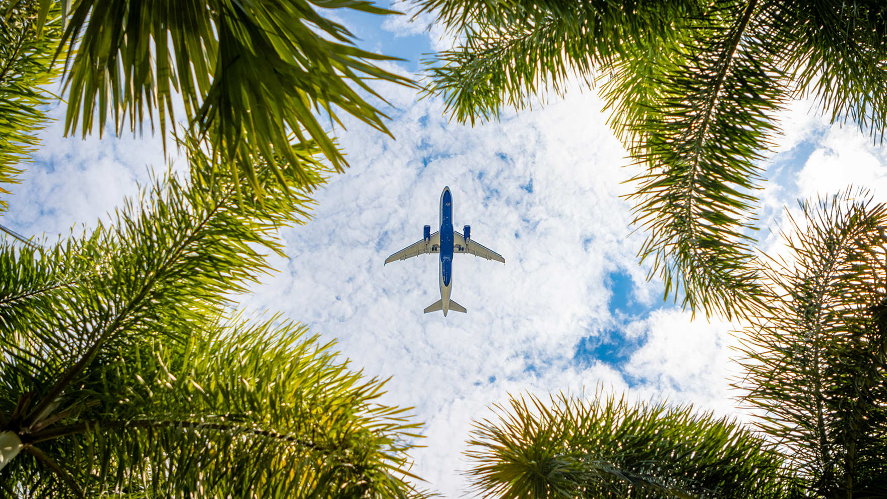 Commercial airplane flying overhead framed by palm tree leaves against a partly cloudy sky.