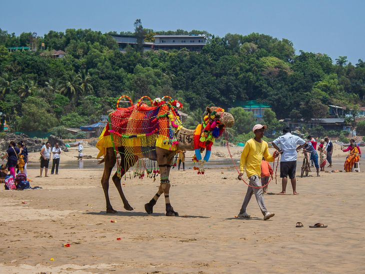 Goa tourism breaks all record: More than 1 crore tourists land in the Pearl of the Ocean in 2025