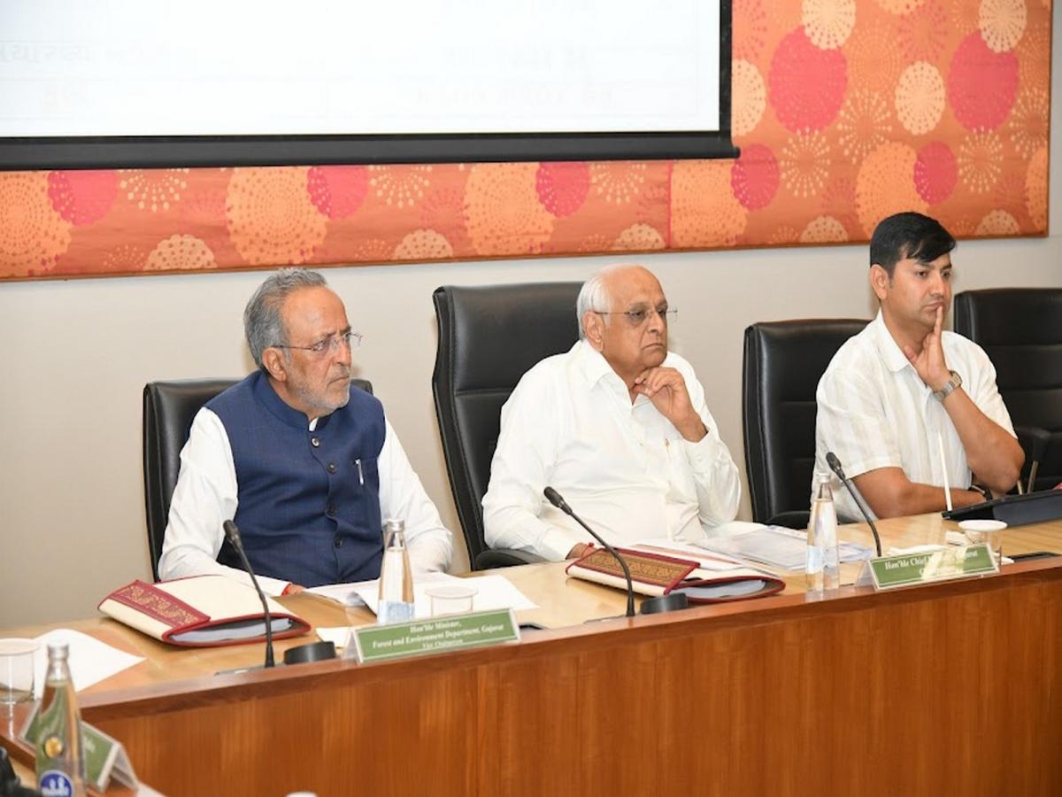 Gujarat CM directs to promote Eco-Tourism in protected forest areas and to frame visitor policy guid...