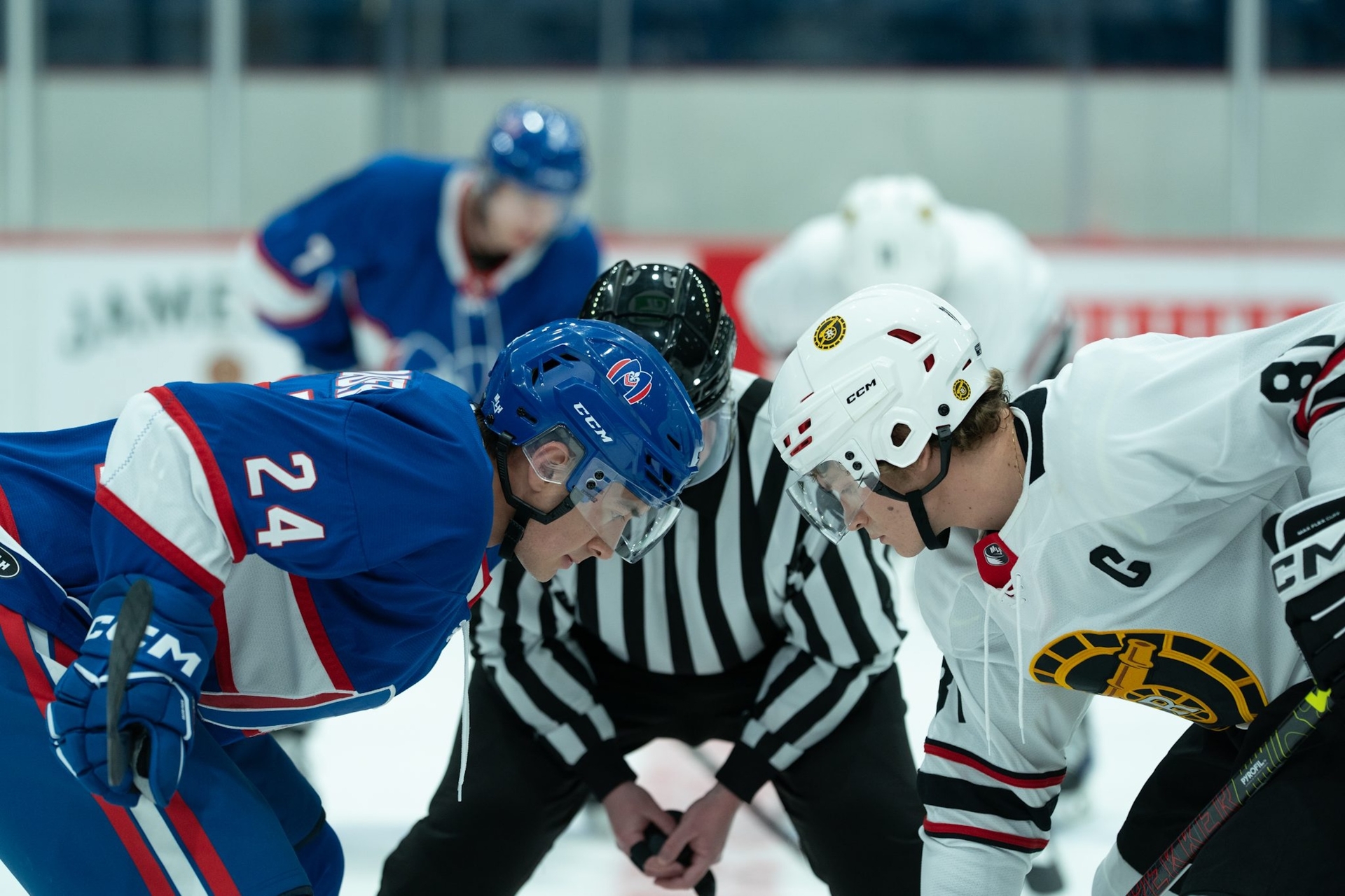 'Heated Rivalry' set to drive ice hockey tourism boom