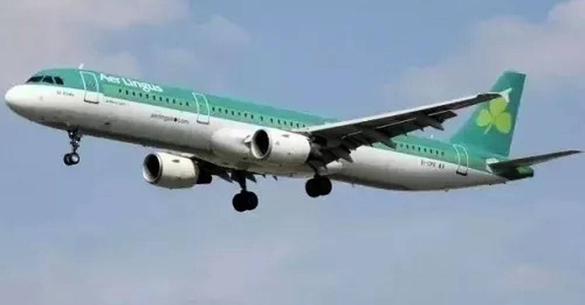 Aer Lingus-Owner IAG Names Insider Barrionuevo As New CFO