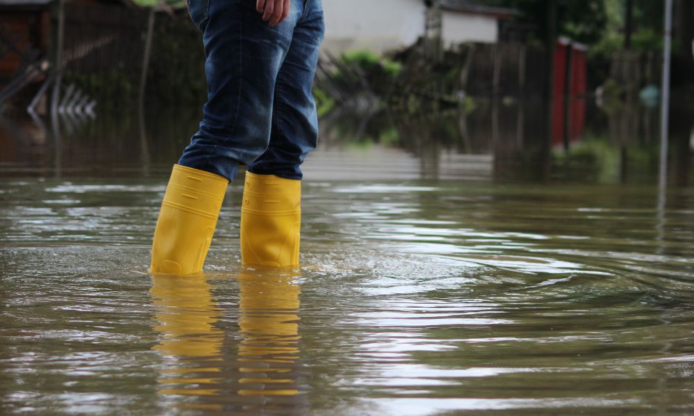 IAG brands activate major event protocols amid Northland emergency