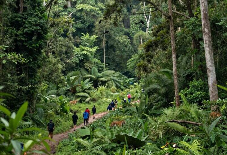 India Pioneers Eco-Tourism Growth with Groundbreaking Environmental Initiatives and Large-Scale Affo...