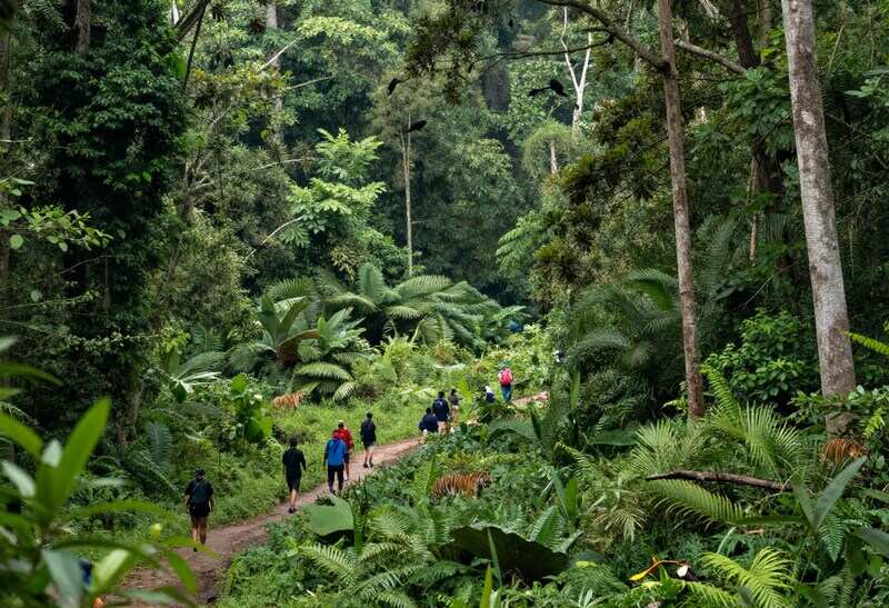 India Pioneers Eco-Tourism Growth with Groundbreaking Environmental Initiatives and Large-Scale Affo...