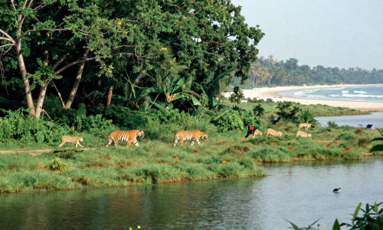 India’s Bold Environmental Push In 2025 Revolutionizes Wildlife, Eco-Tourism, And Green Economic Gro...