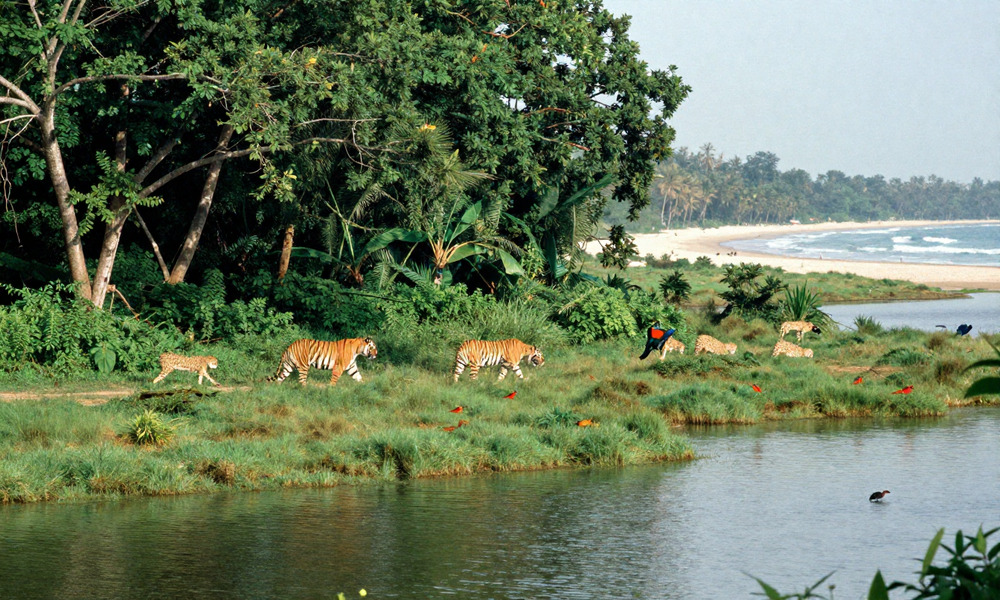 India’s Bold Environmental Push In 2025 Revolutionizes Wildlife, Eco-Tourism, And Green Economic Gro...