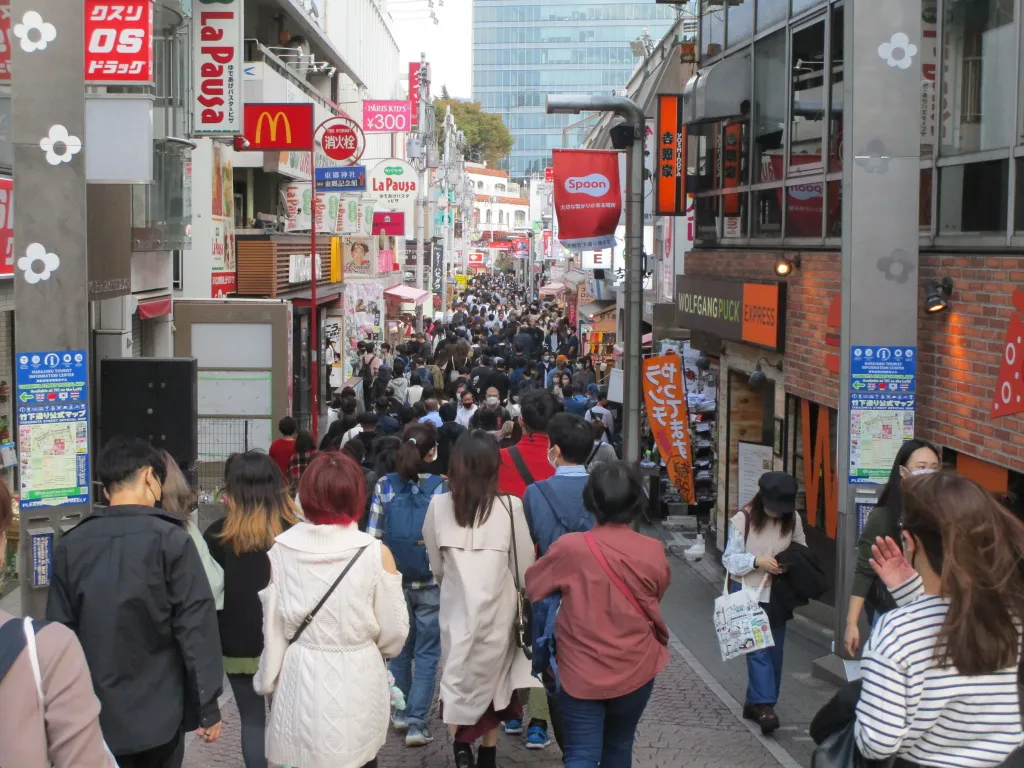 Japan Sets Tourism Record, but Visits from China Plunge