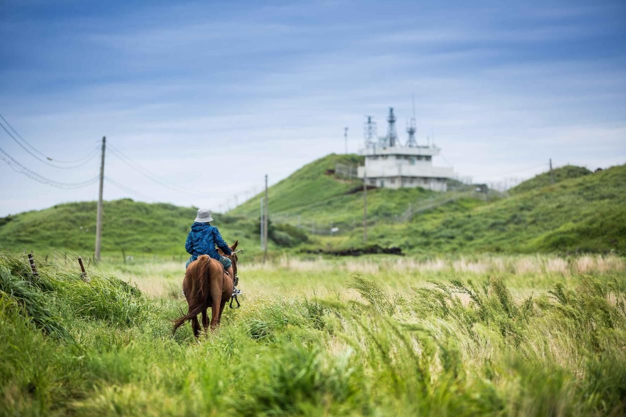 Korea's horse-themed travel spots to celebrate Year of the Red Horse
