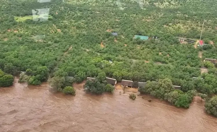 Kruger National Park in South Africa Flooded as Scientists Link Extreme Rainfall to Climate Change
