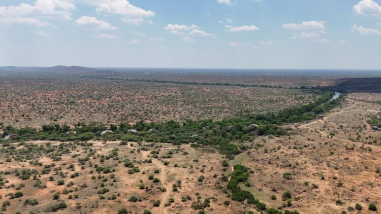 Last Word Makanyane: A beloved safari classic reborn