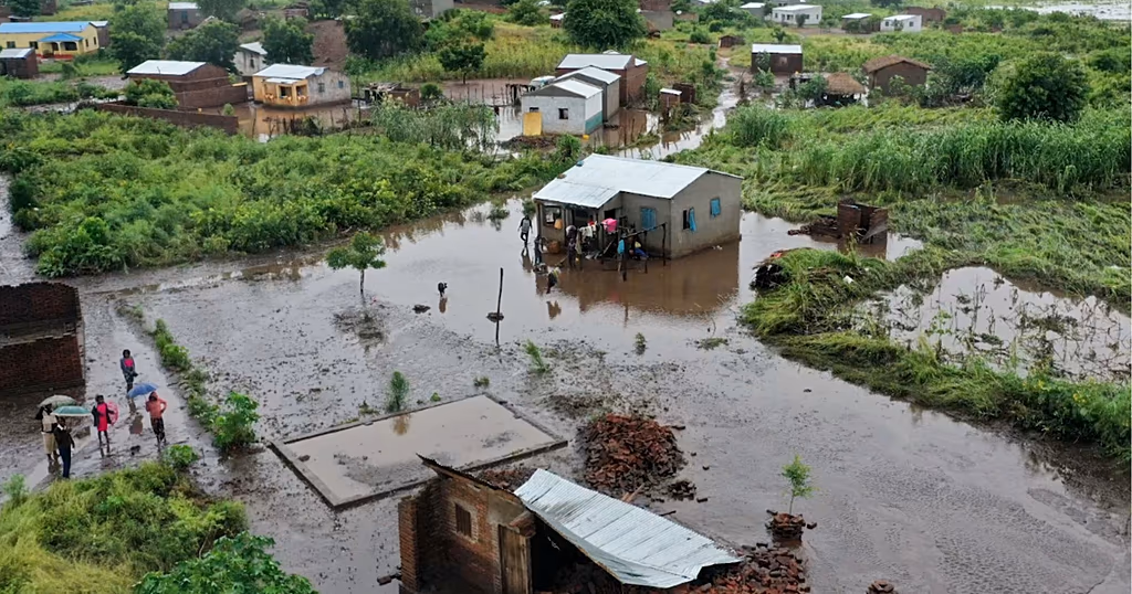 Mozambique: crocodiles appear in towns amid floods