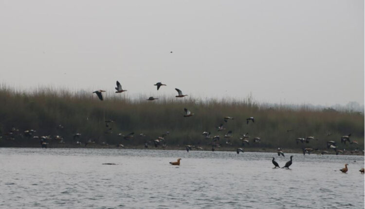 Nepal News | Nepal's First Online News Portal