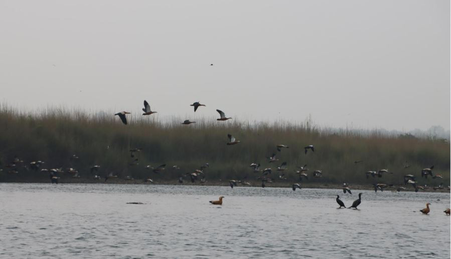 Nepal News | Nepal's First Online News Portal