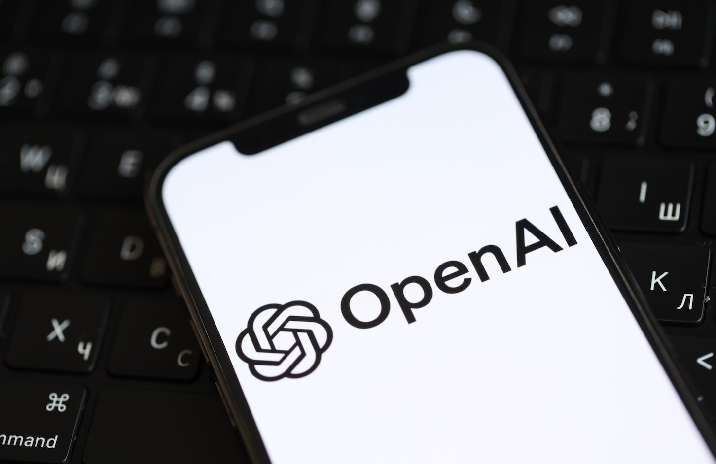 OpenAI accelerator