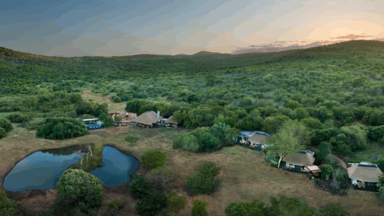 Phinda lodge reopens after refurb