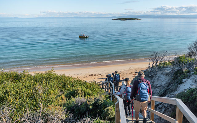 Picnic Island Tasmania unveils full experience menu before 2026 debut | TTG Asia