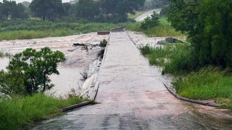 Heavy rainfall prompts several closures in KNP