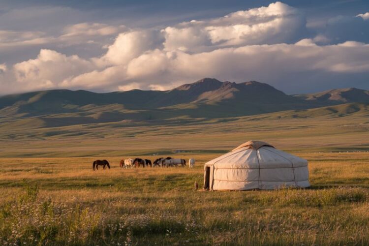 Building a Responsible and Sustainable Tourism Industry: Insights from Davos