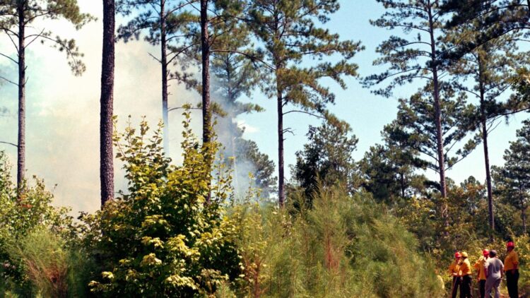 SATSA address Garden Route water and fire concerns