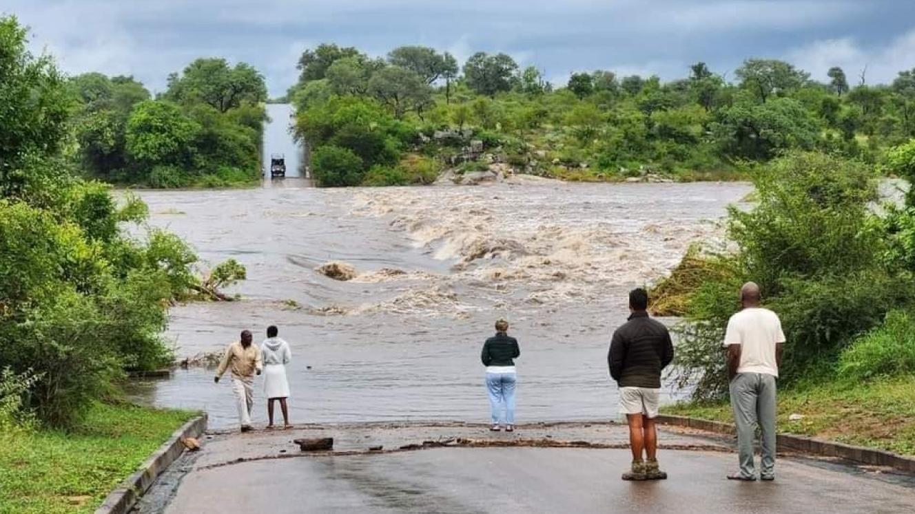 After the floods: Safari sector takes stock