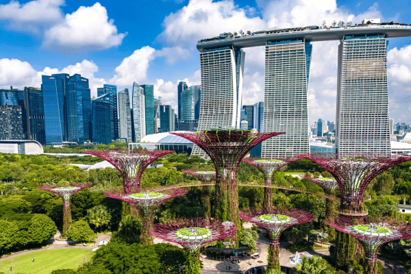 Singapore Government Holds Tight to Language AI Plan