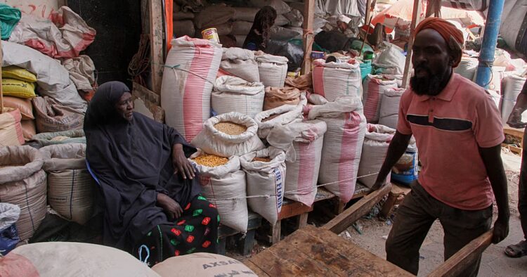 Somalia denies aid seizure as US suspends assistance over WFP warehouse claims