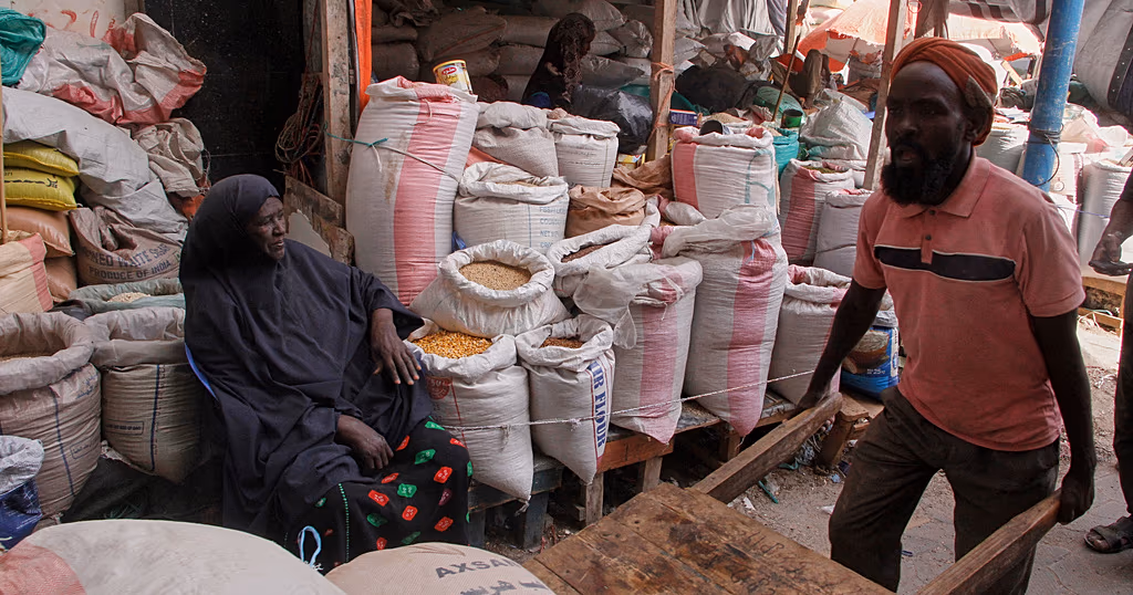 Somalia denies aid seizure as US suspends assistance over WFP warehouse claims