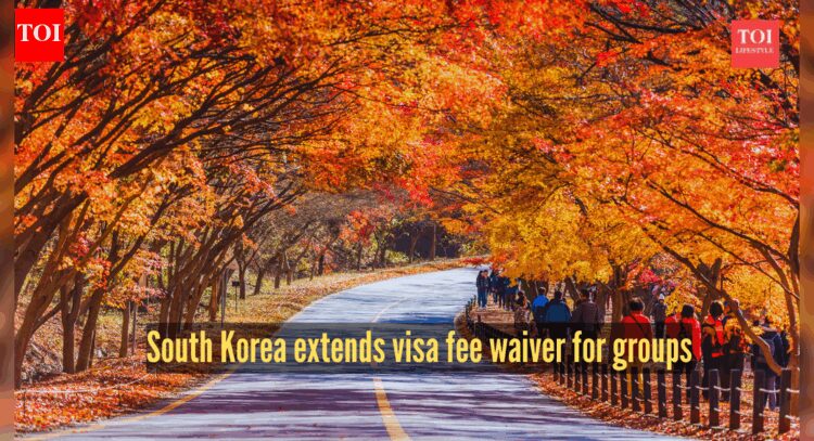 South Korea extends group visa fee waiver for 6 countries: What Indian travellers need to know |