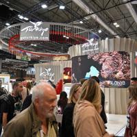 Spanish tourist arrivals to Türkiye quadruple over past decade