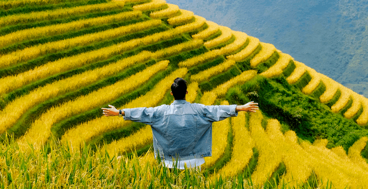 Travellers resonate more with the unknown, study finds - WiT