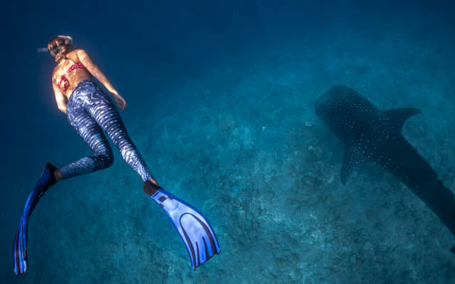 Swan Hellenic adds scuba diving to Raja Ampat Voyages | TTG Asia