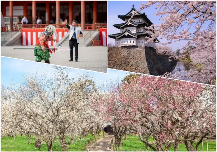 Collage showing a traditional Japanese festival performance, cherry blossoms around a historic castle, and blooming plum orchards in springtime Japan.