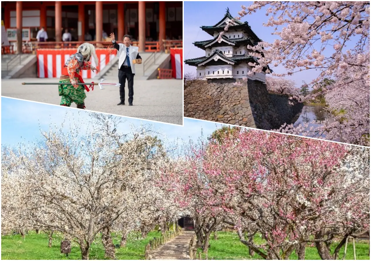 Collage showing a traditional Japanese festival performance, cherry blossoms around a historic castle, and blooming plum orchards in springtime Japan.