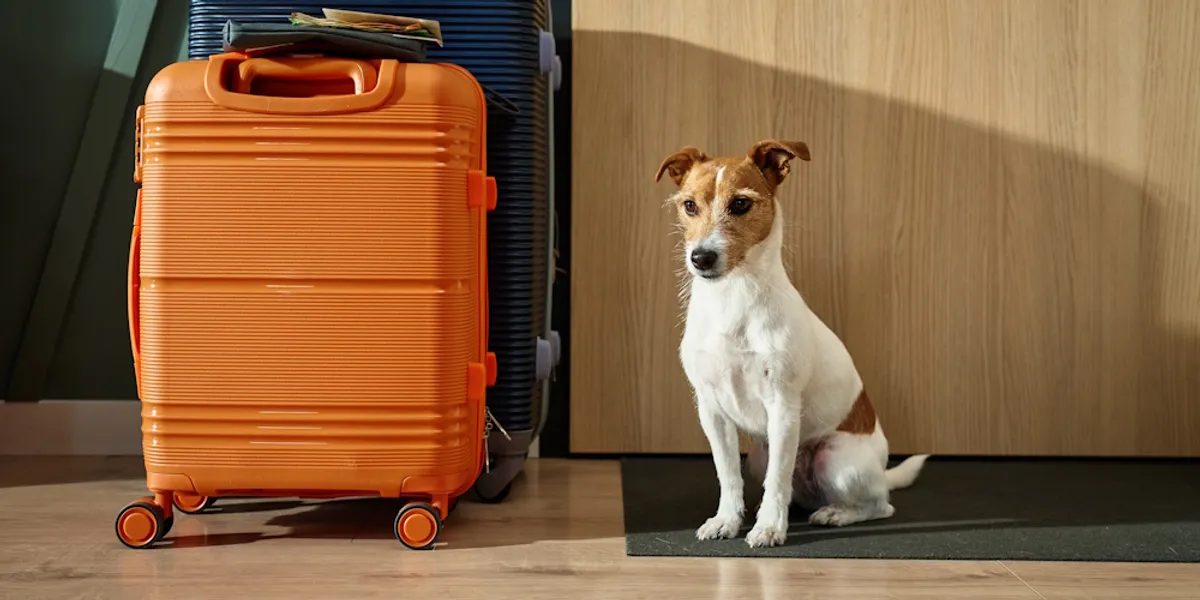 UK-based Snaptrip Group completes 2 acqusitions