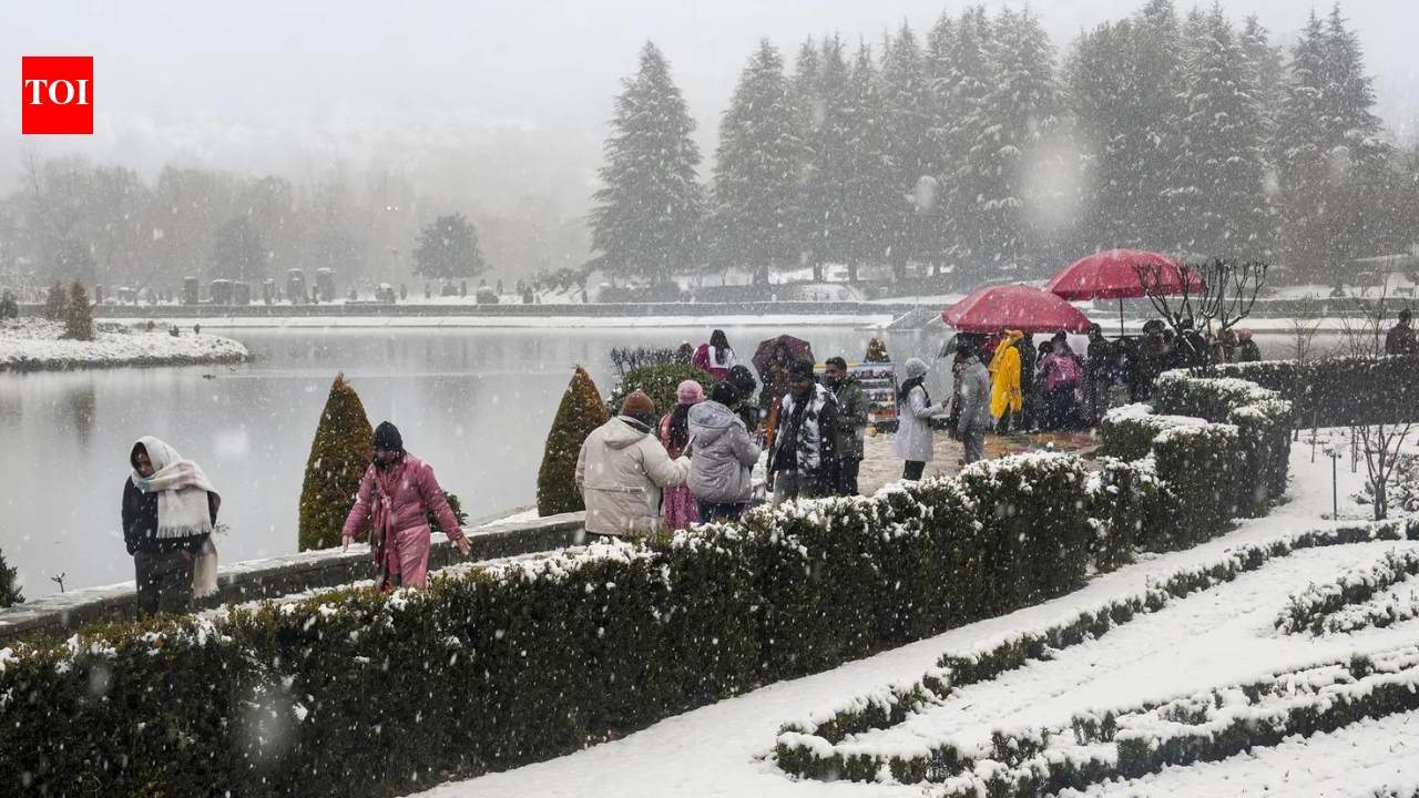 Over 1.7 crore tourists, including 36,000 foreigners, visited J&K in 2025: Govt | India News