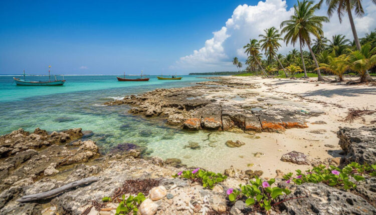 This Bangladesh island closes 9 months yearly and 2,000 visitors book the 60 days left