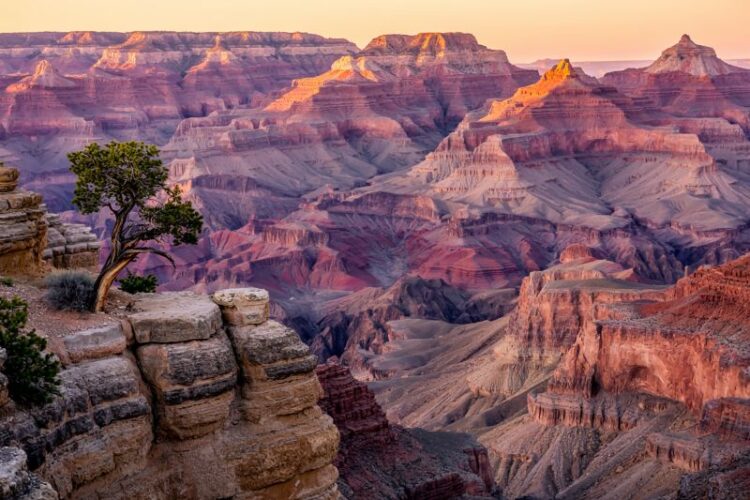 Extending from The US, Fora Sets to Capture the Growing Luxury Travel Market in Asia with Innovative...