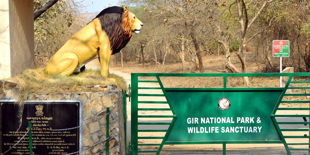 Gujarat Ranks Third in India for Foreign Tourist Visits 2024