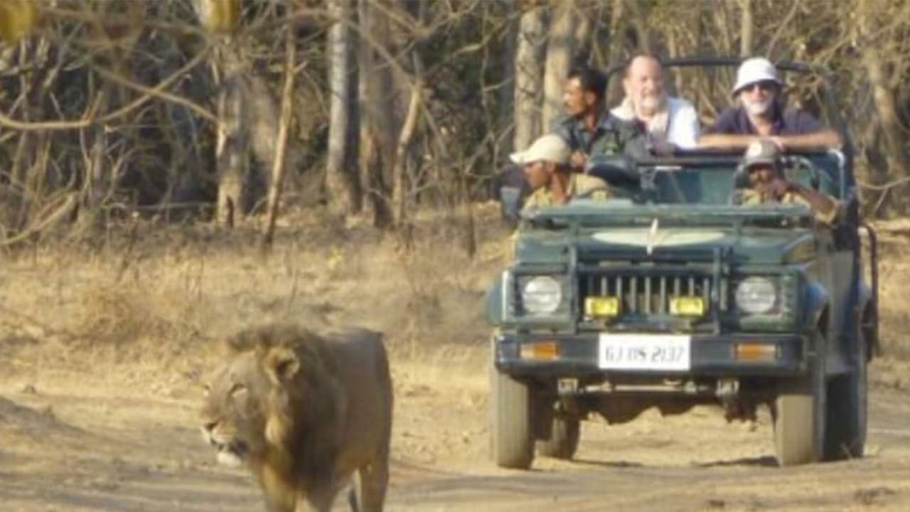 India's tourism booms in 2024; Gujarat 3rd most visited state