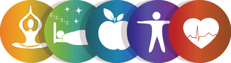 Japan Health and Wellness Market: Size, Trends, and Growth Forecast 2026-2034