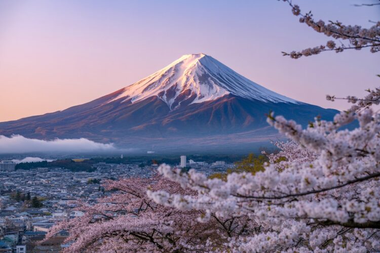 Jetstar japan resumes daily flights between tokyo narita and hong kong enhancing tourism and business travel between japan and hong kong