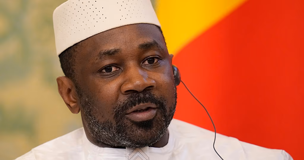 Mali creates company to manage mining holdings