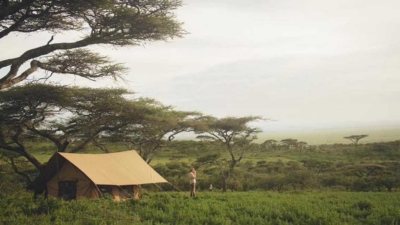 Nomad Tanzania announces new camps