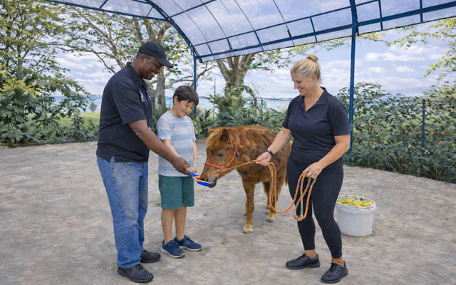 Beachfront pony experience at Sentosa