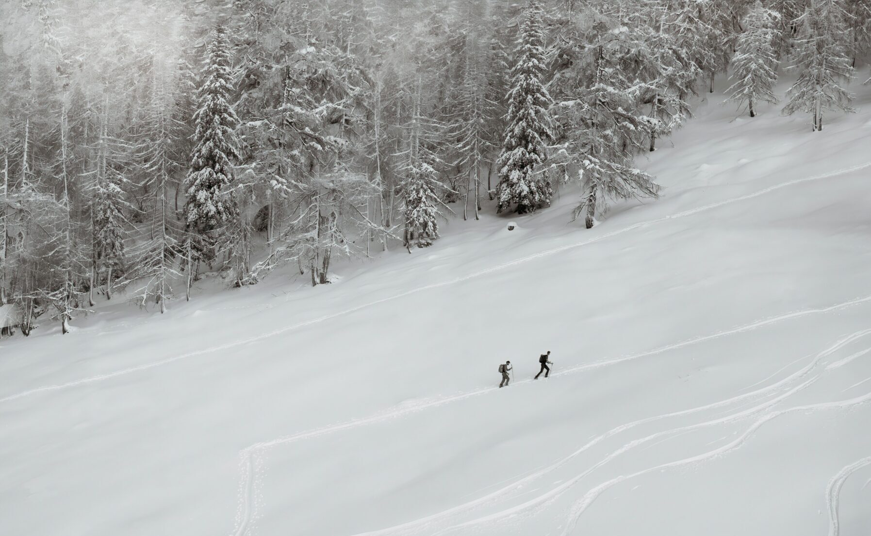 Globetrender News Subscription