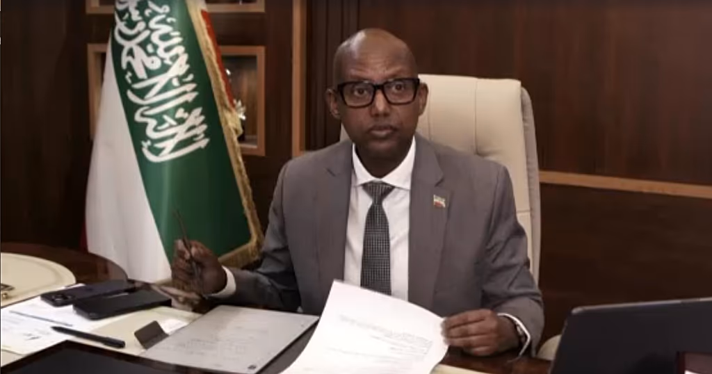 Somaliland offers US access to minerals as it pushes for recognition