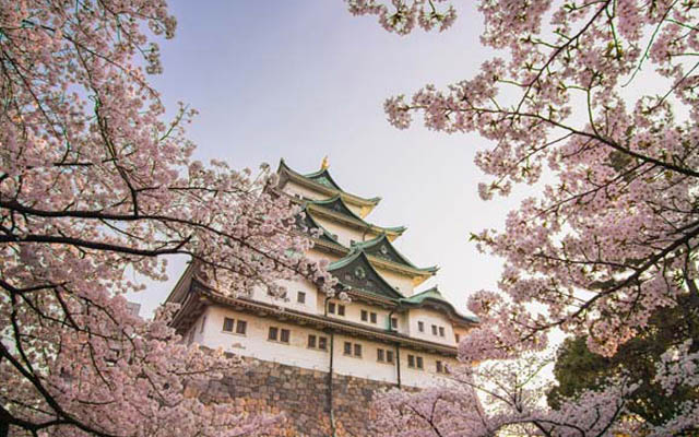 Sono Hotels & Resorts Asia enters Japan with Nagoya hotel | TTG Asia